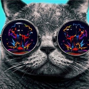 Meet your Posher, Gilberto